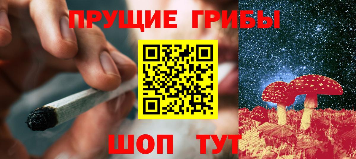 Псилоцибиновые грибы MAGIC MUSHROOMS  Галлюциногенные грибы Psilocybe  Вход с VPN  Прохладный 
